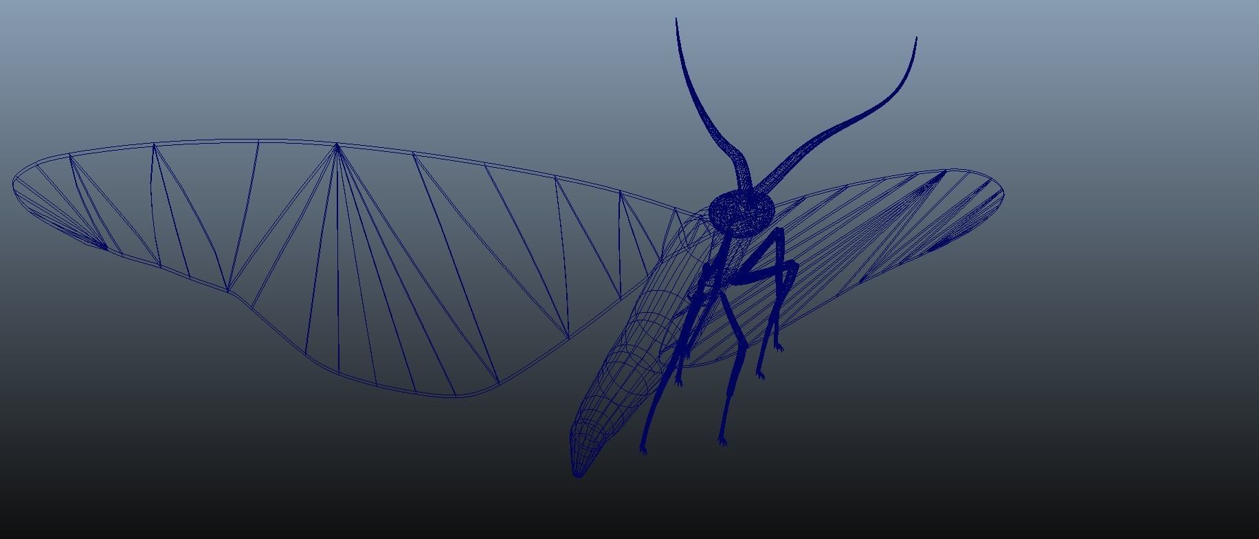Moth Insect 3D model_10