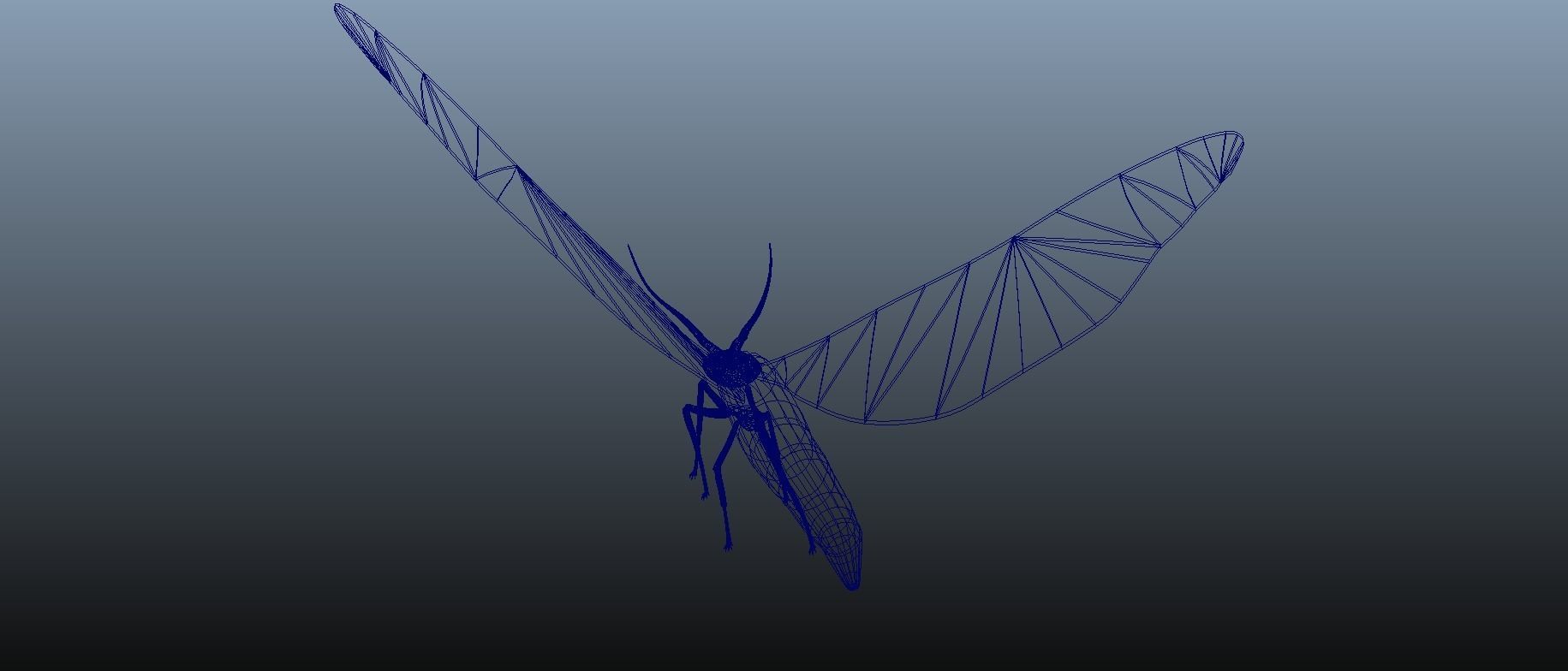 Moth Insect 3D model_14