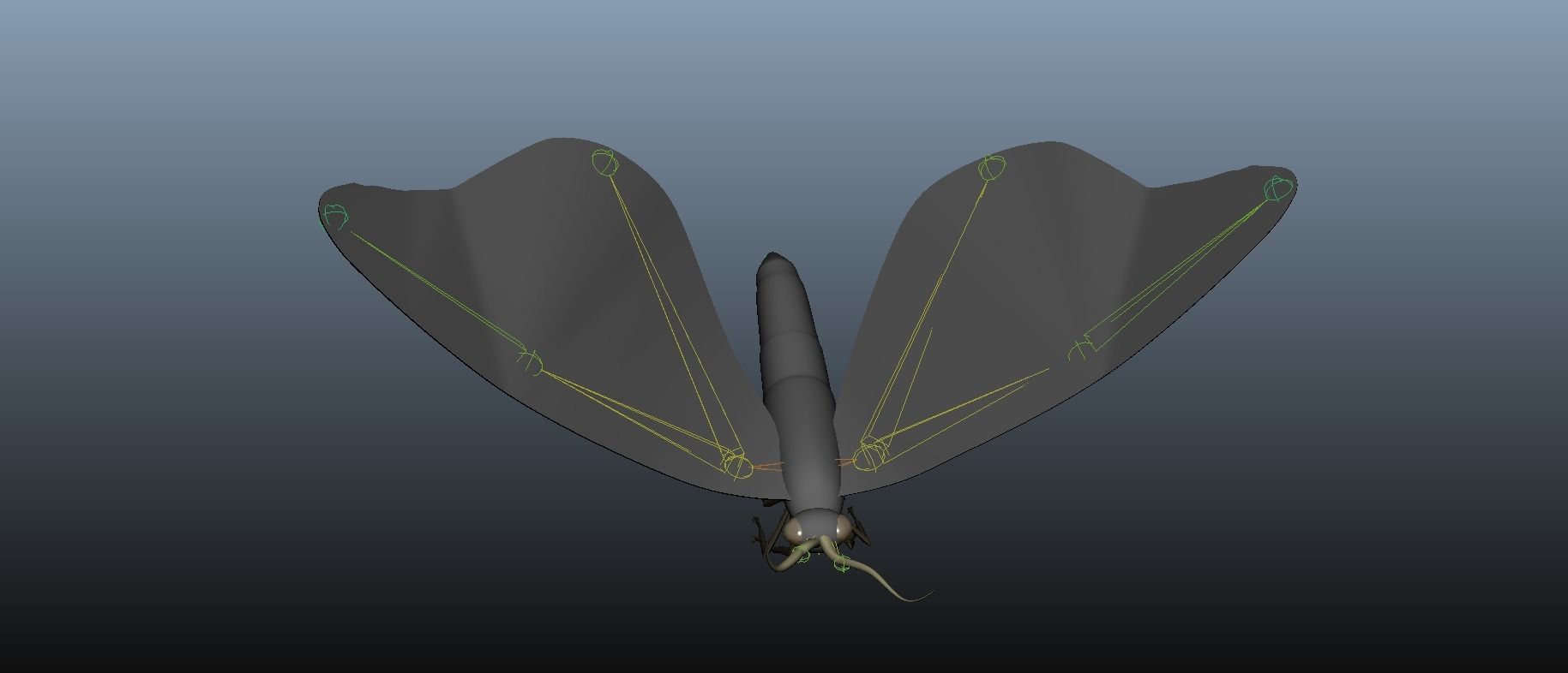 Moth Insect 3D model_19
