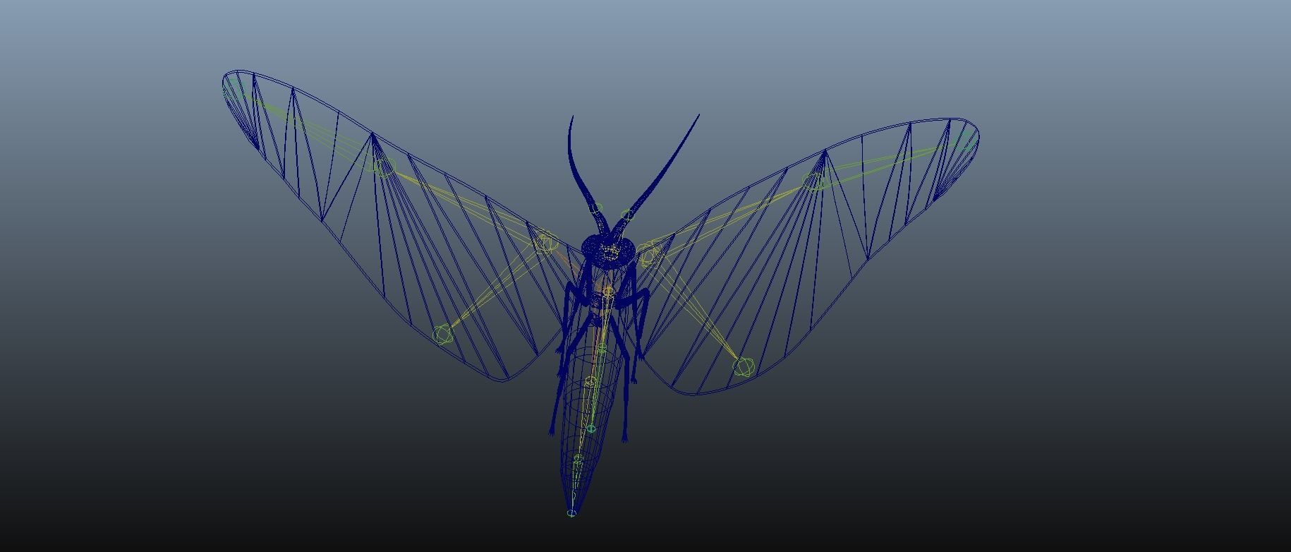 Moth Insect 3D model_17