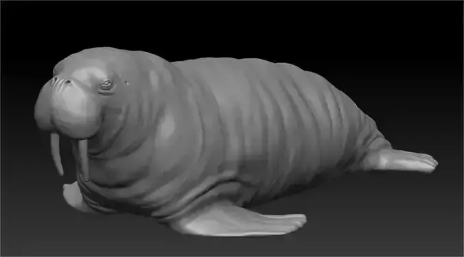 Walrus 3D print model