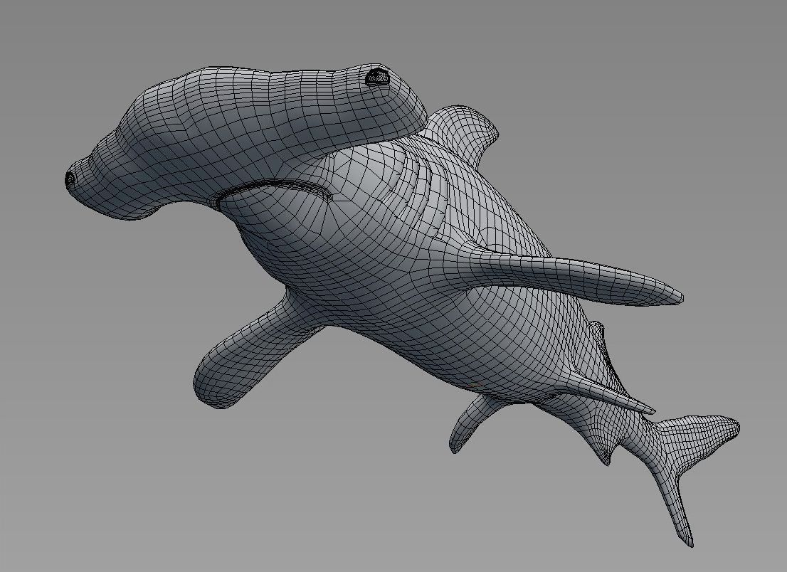 Hammerhead Shark Low-poly 3D model_4