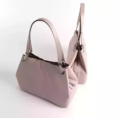 handbag two handbags