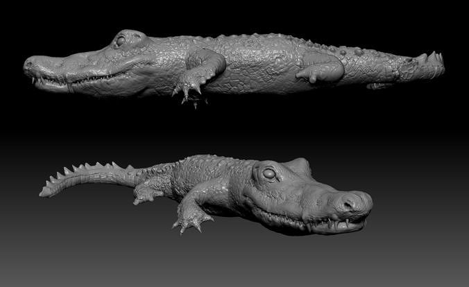 Crocodile two crocodiles 3D model