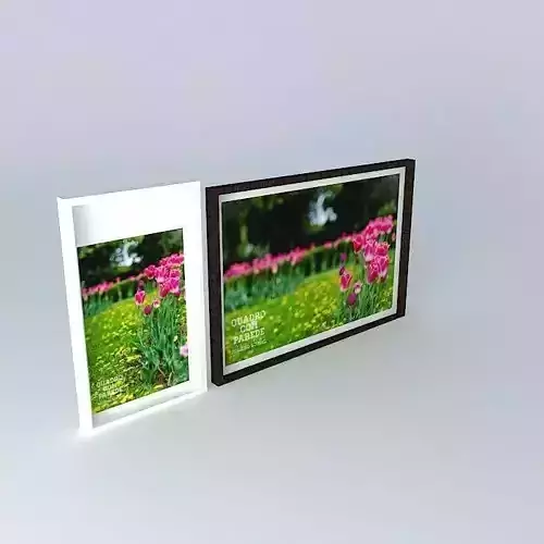 Composition Fauna &amp; Flora 04