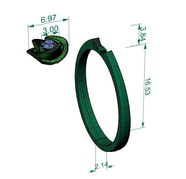  ring rose type 3D print model_6