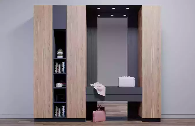 Entrance Cabinet Design 