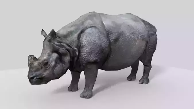 Photorealistic low-poly model rhinoceros Low-poly 3D model