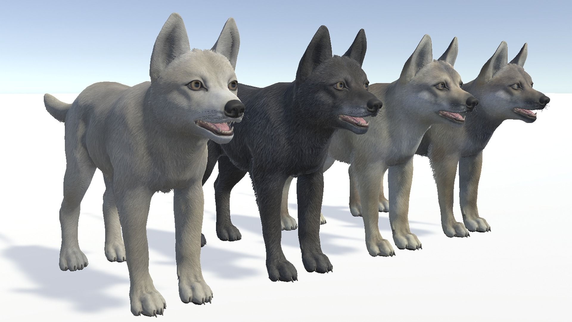 Wolf - Cub Low-poly 3D model_9