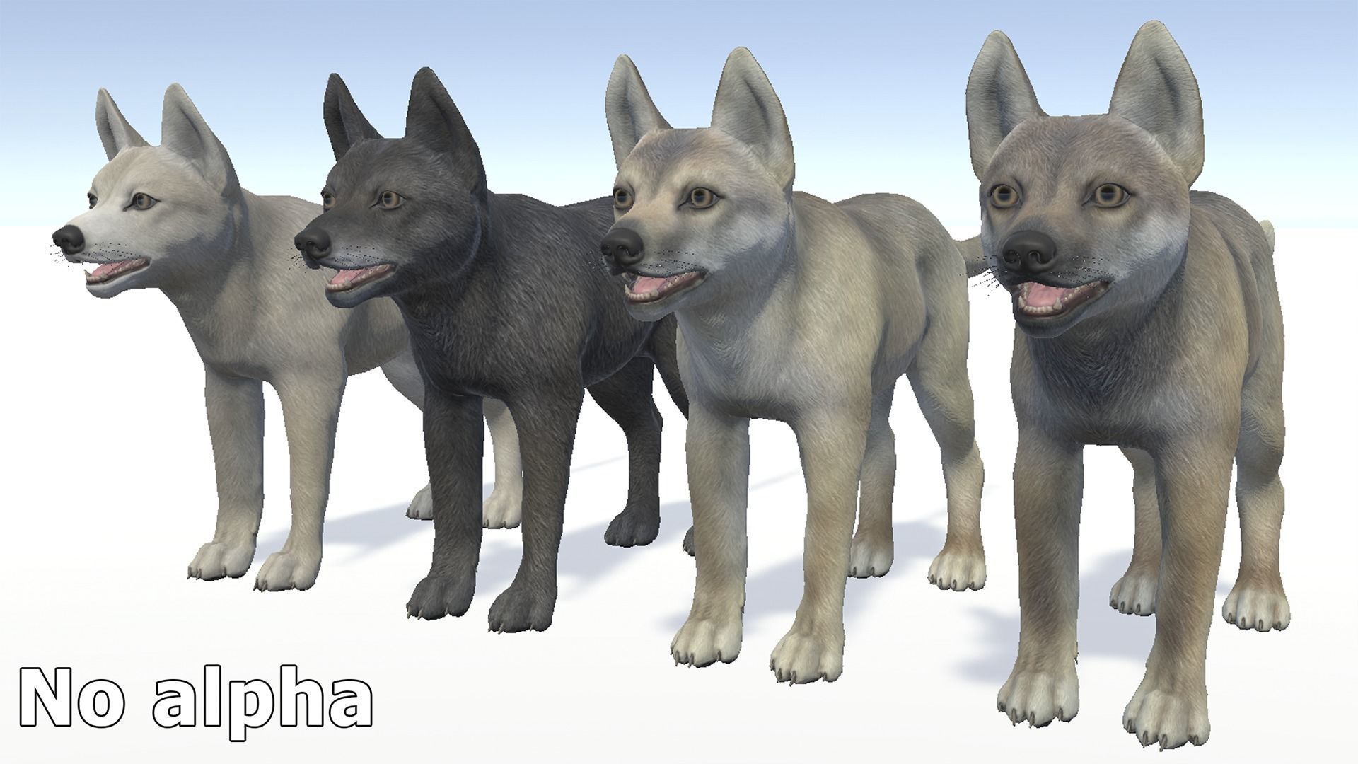 Wolf - Cub Low-poly 3D model_13