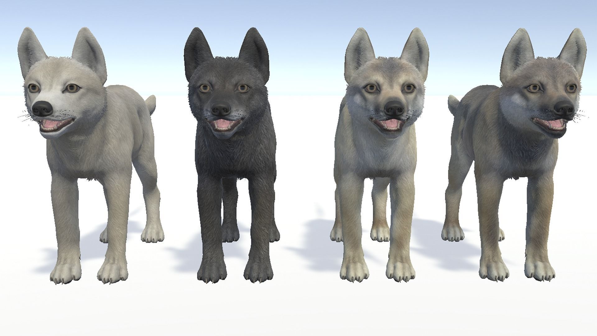Wolf - Cub Low-poly 3D model_8