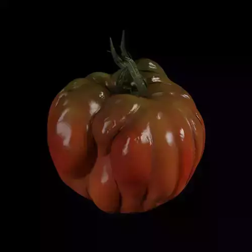 Tomato