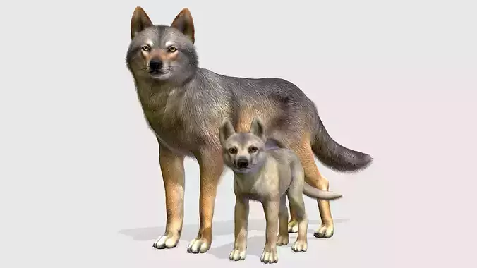 WOLF FAMILY Low-poly 3D model
