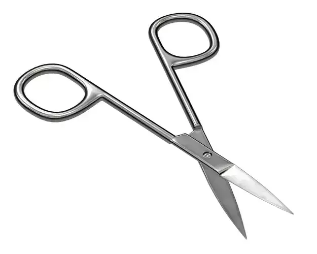Scissors Opened 3D model