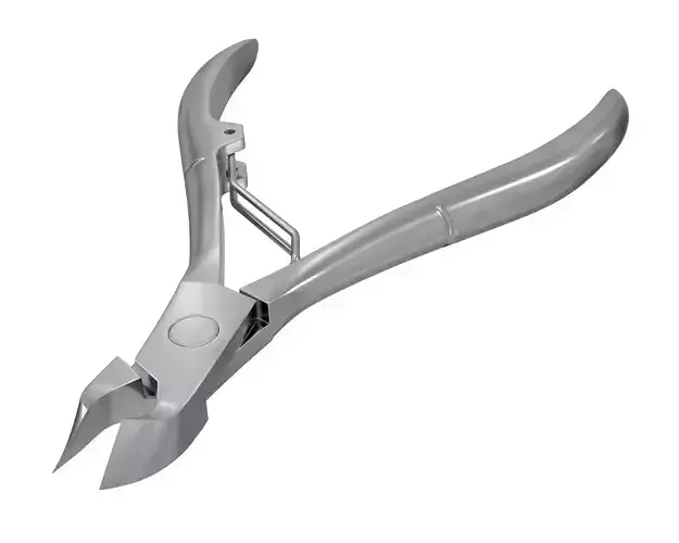 Stainless Steel Cuticle Nipper 3D model