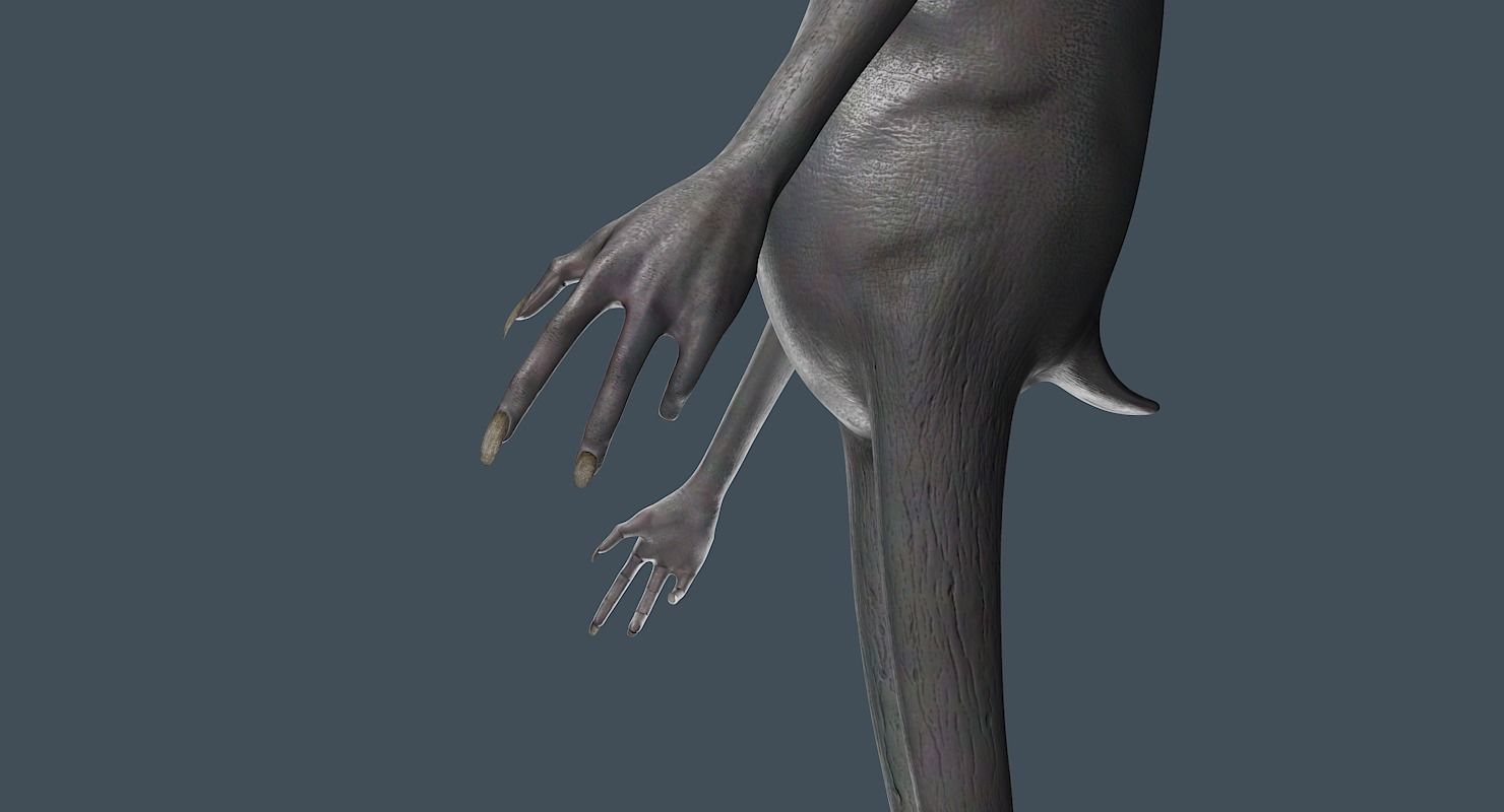 Creature Rabbit 3D model_20