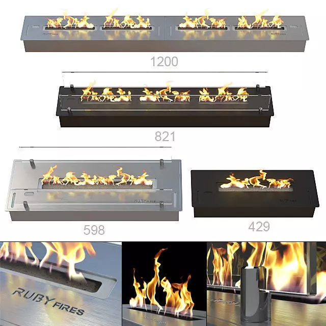 Bio Fireplaces Ruby Fires 3D model_0