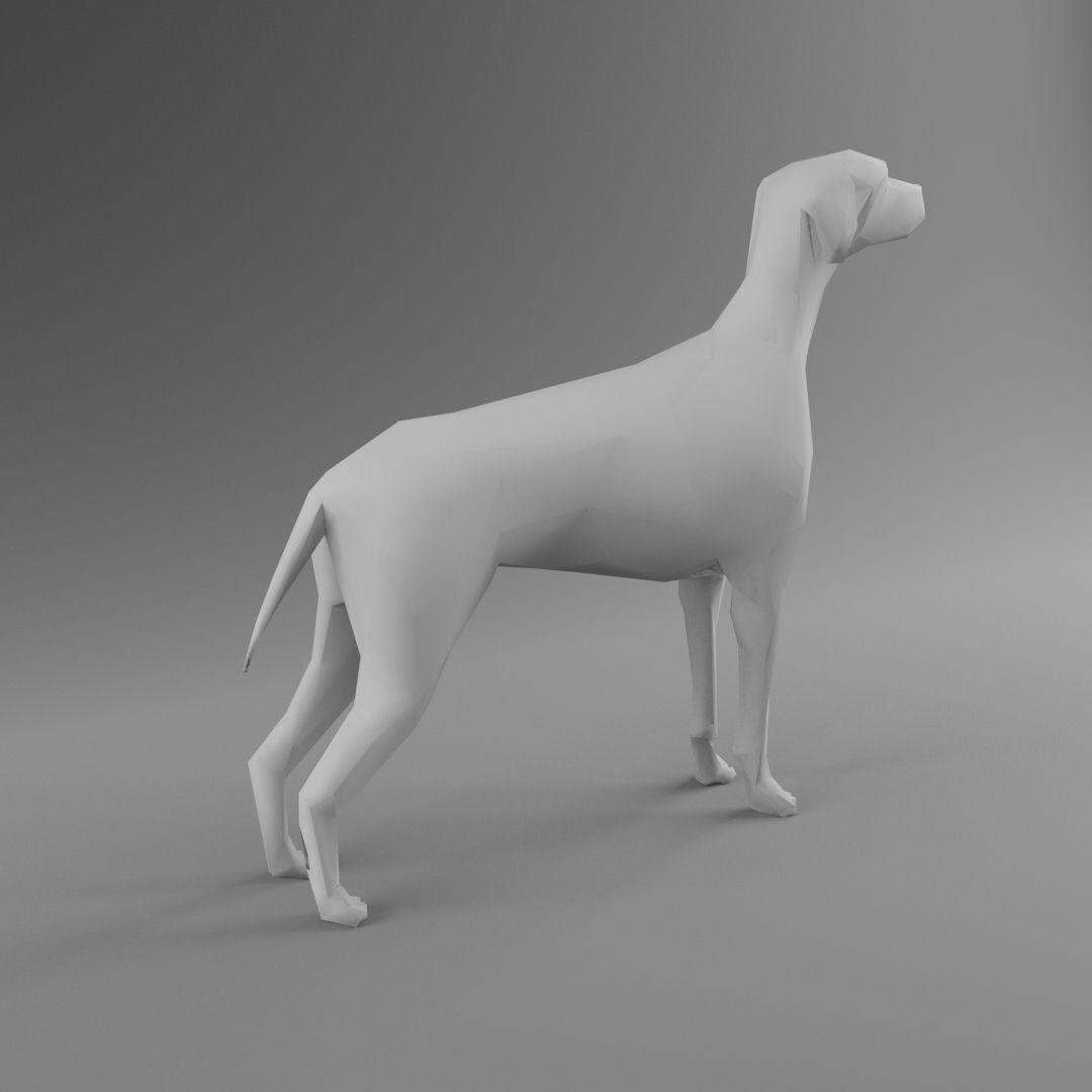Dog 3D Model - Low Poly 2019 Nice Anatomy with 3D Scene Low-poly 3D model_2