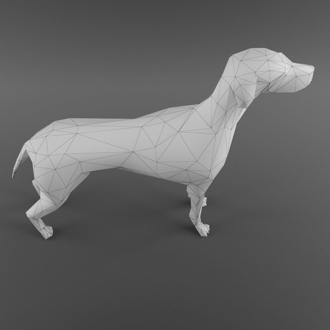 Dog 3D Model - Low Poly 2019 Nice Anatomy with 3D Scene Low-poly 3D model_4