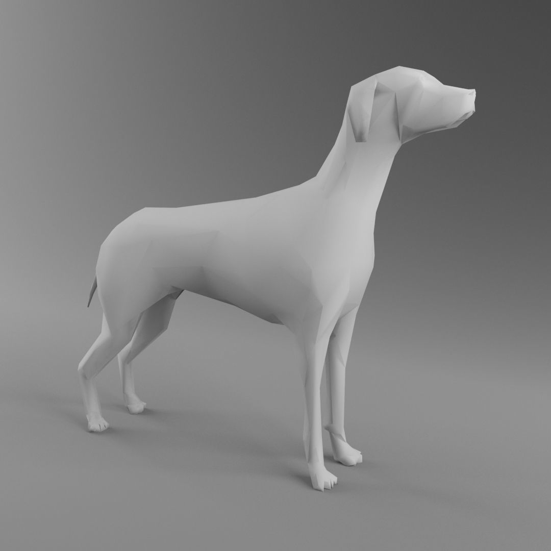 Dog 3D Model - Low Poly 2019 Nice Anatomy with 3D Scene Low-poly 3D model_1