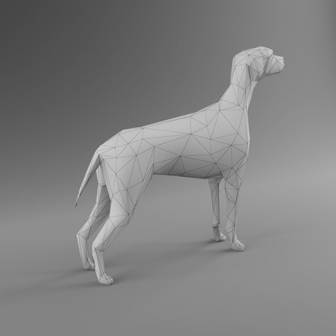 Dog 3D Model - Low Poly 2019 Nice Anatomy with 3D Scene Low-poly 3D model_3