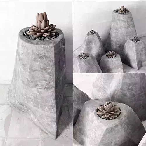Plant vase stone
