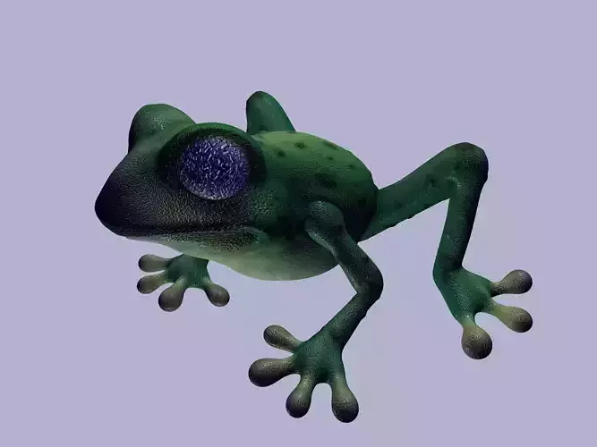 frog green tree frogs