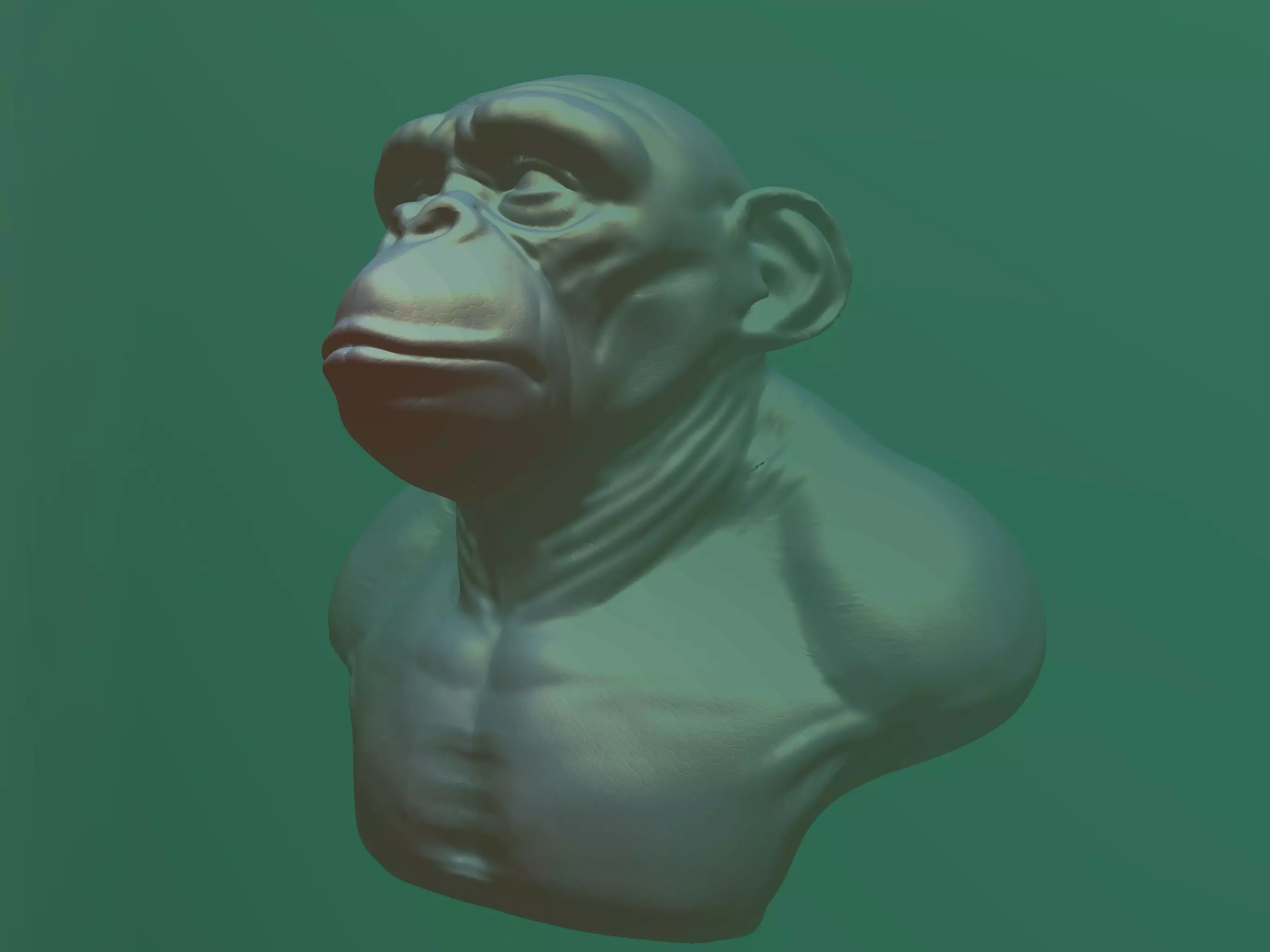 chimpanzee head and bust 3D model_0