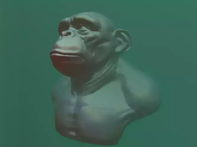chimpanzee head and bust