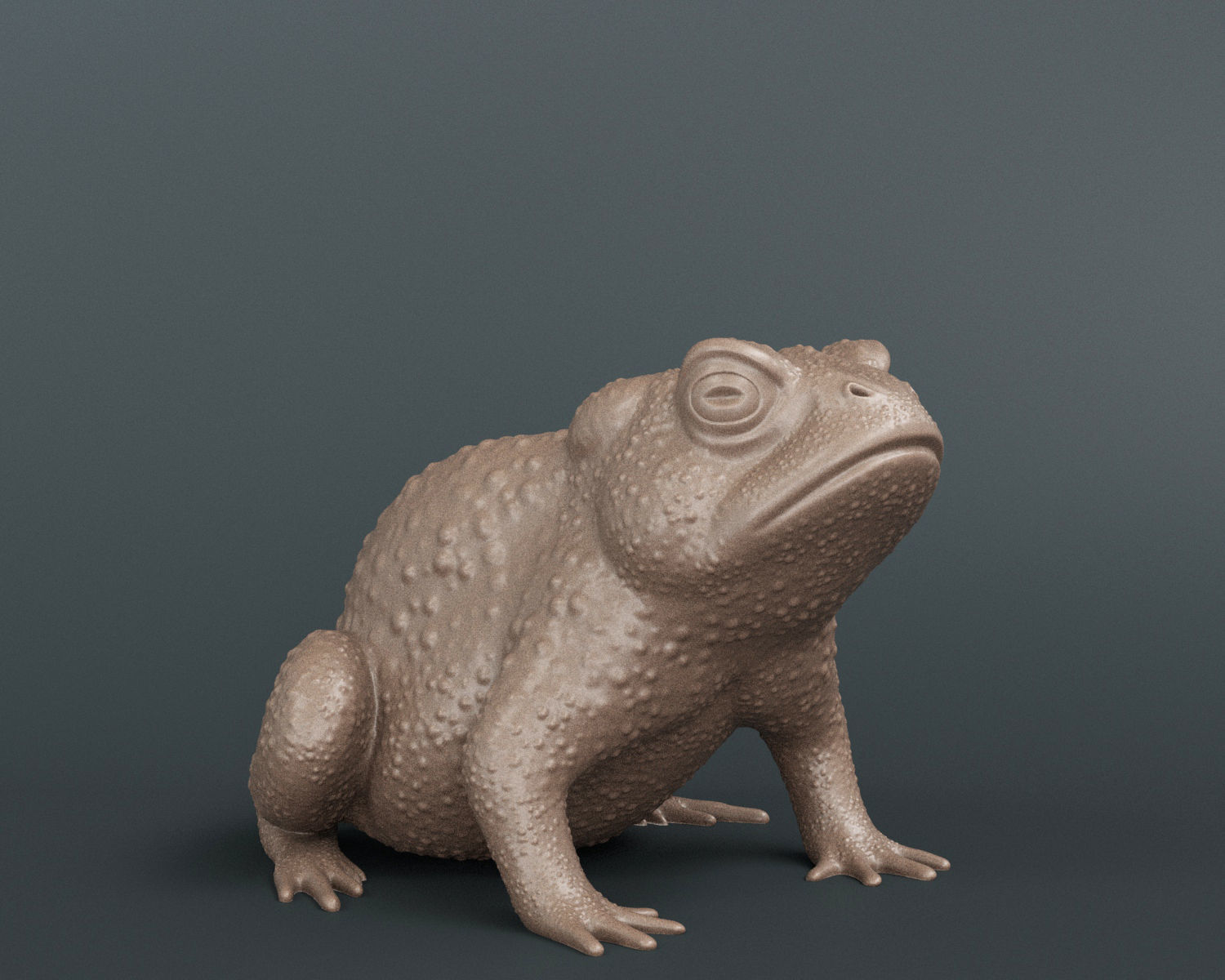Toad Frog 3D print model_3