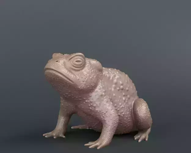 Toad Frog 3D print model