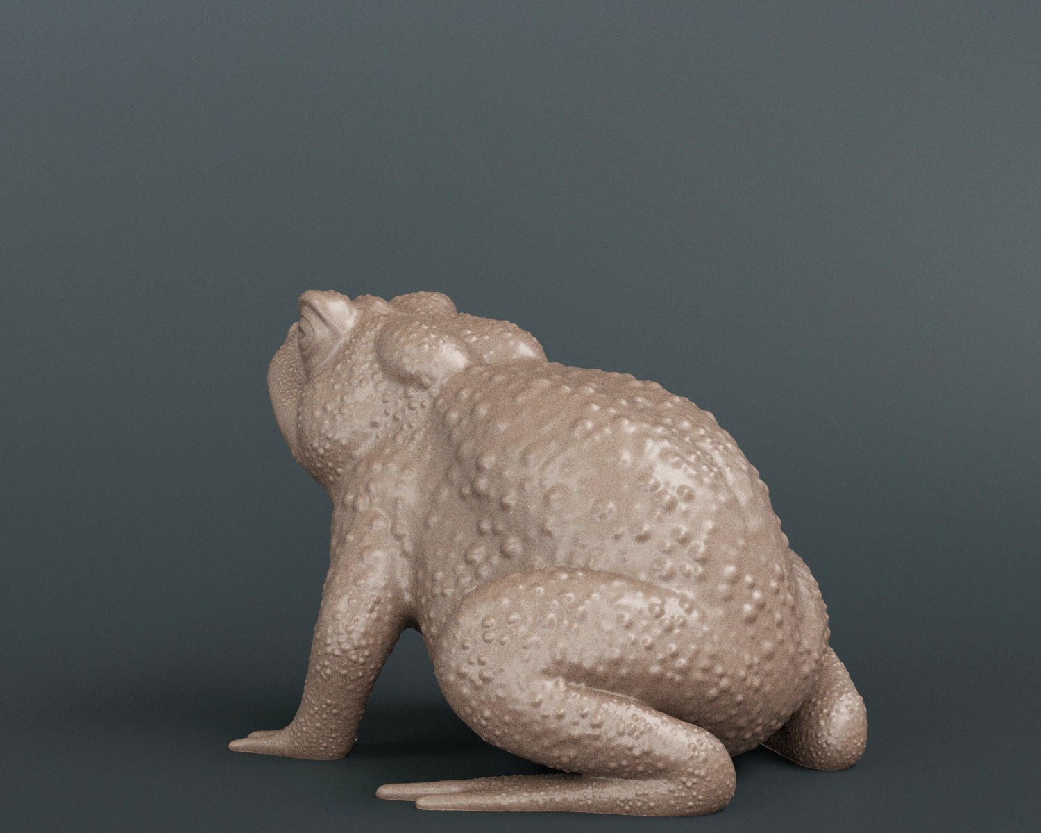 Toad Frog 3D print model_1