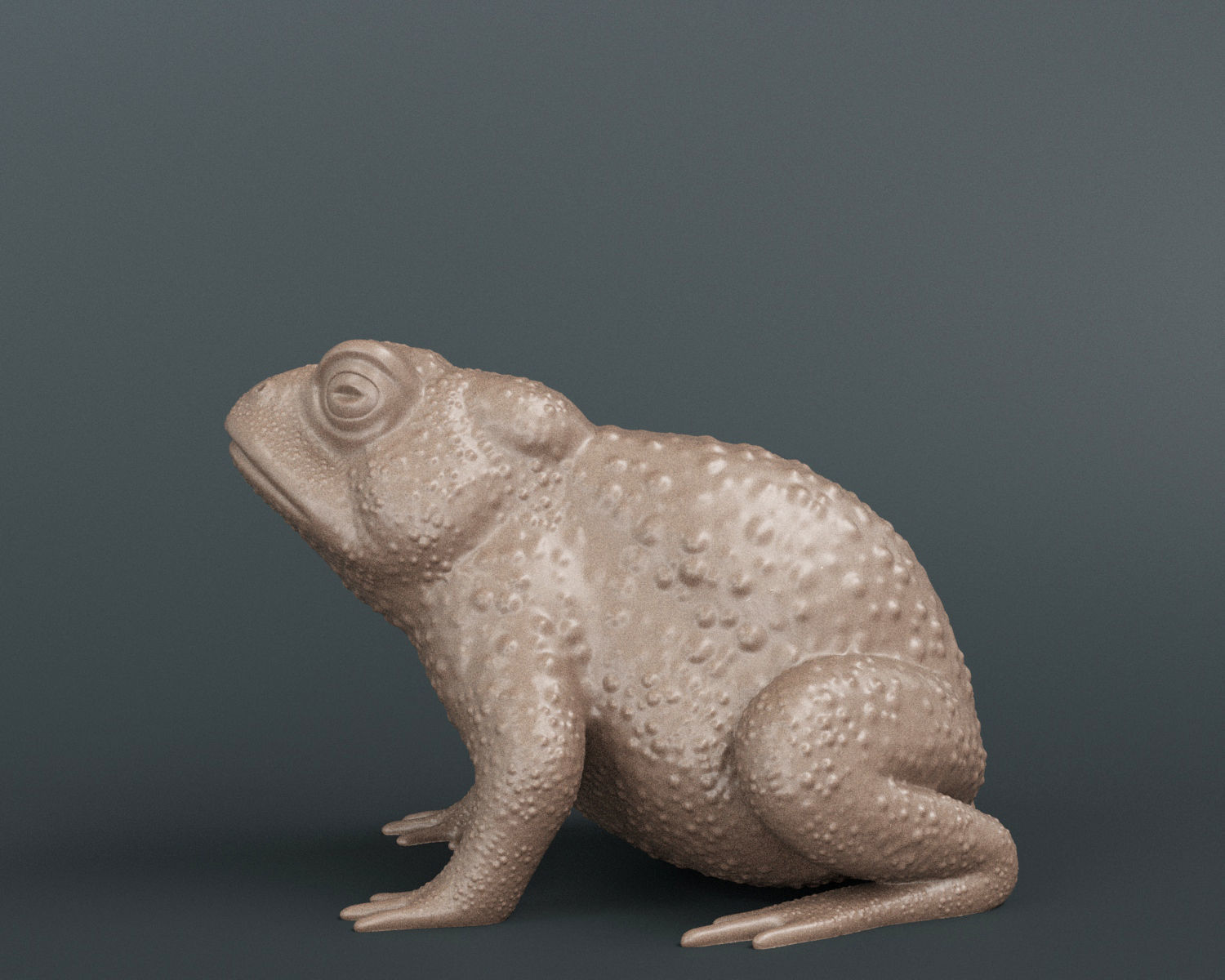 Toad Frog 3D print model_4