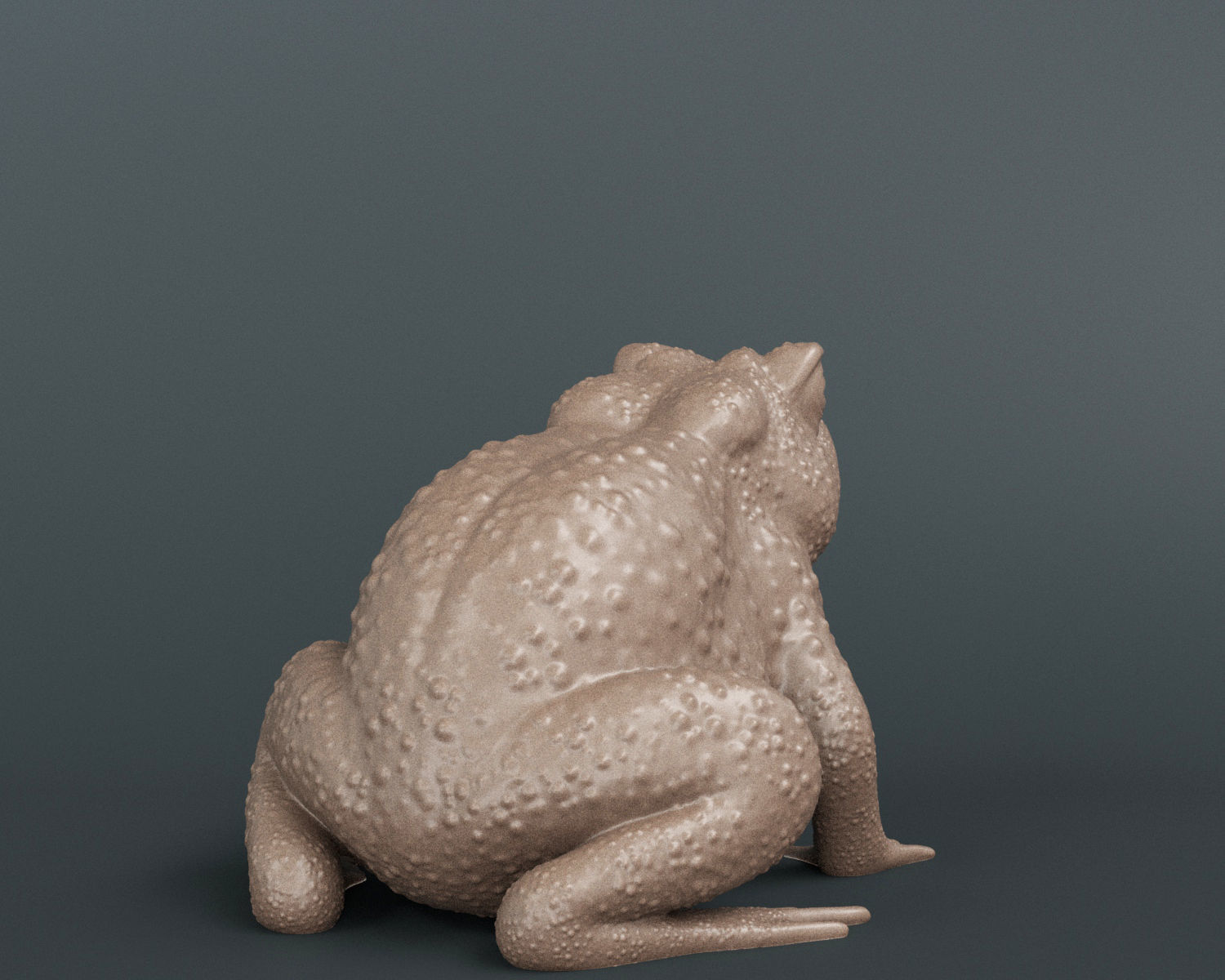 Toad Frog 3D print model_2