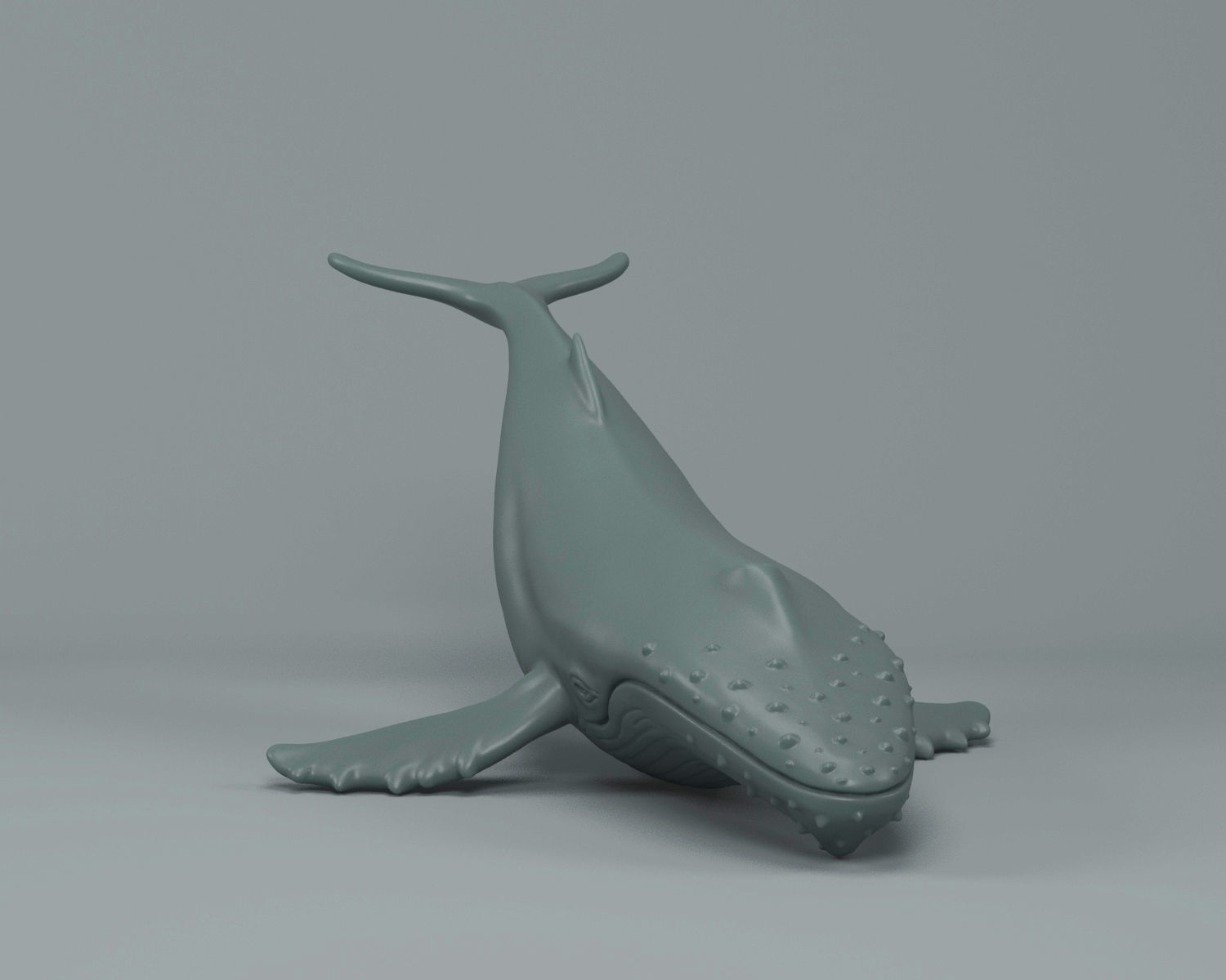Humpback Whale 3D print model_6