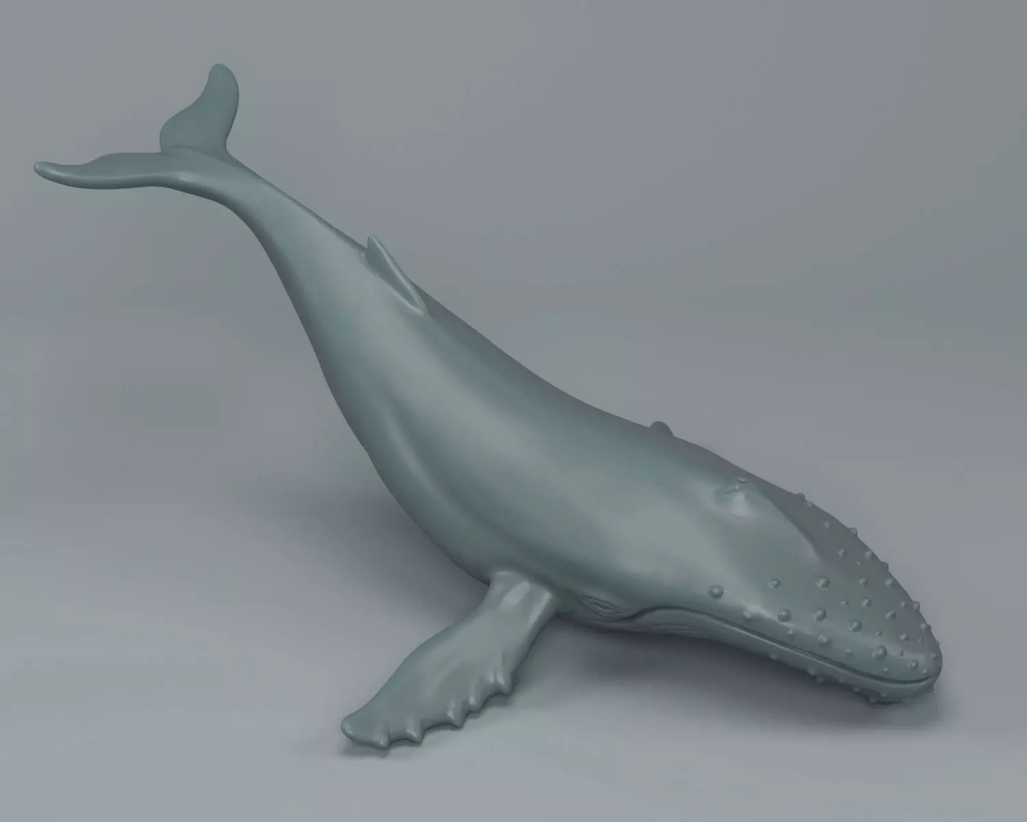 Humpback Whale 3D print model_0