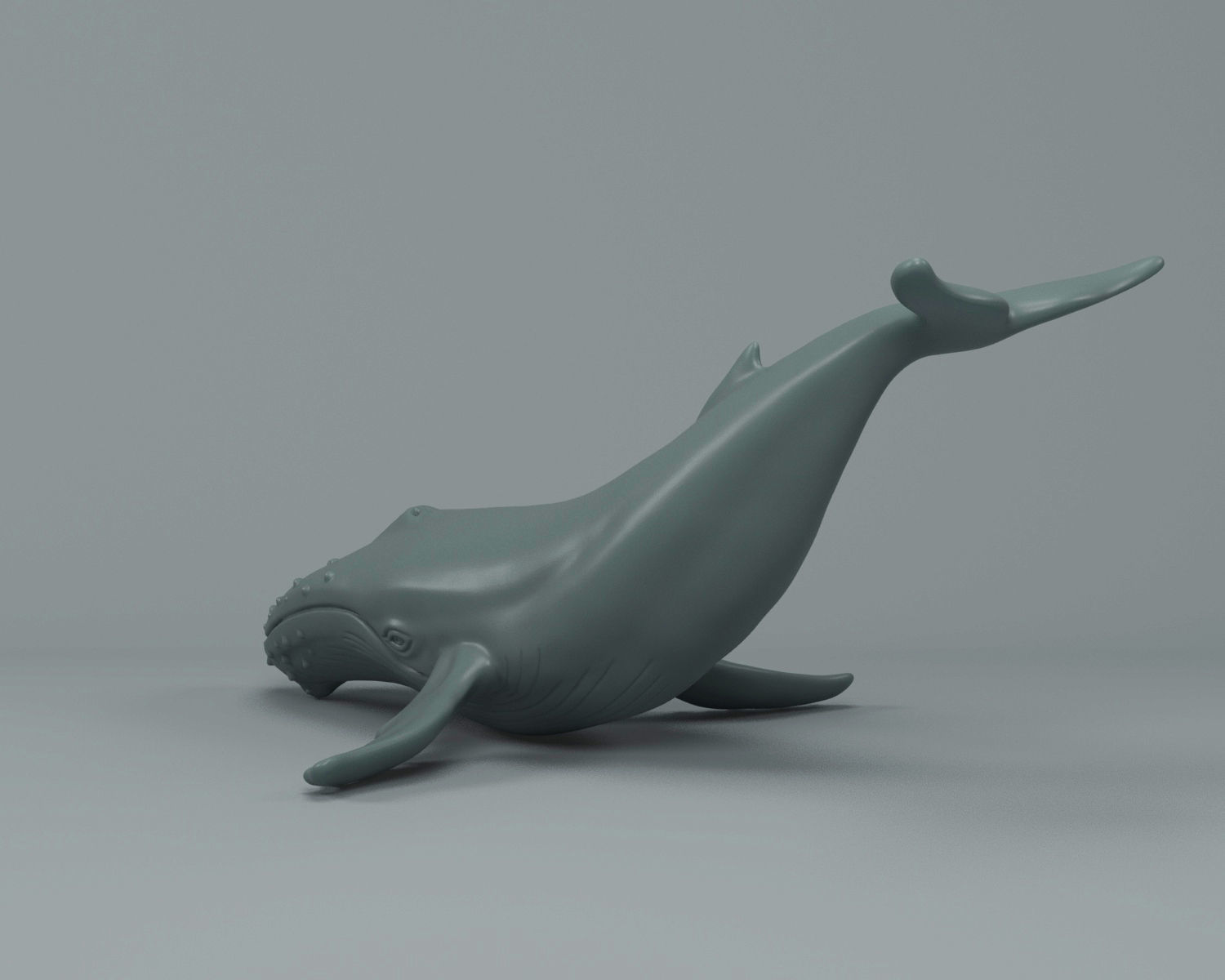 Humpback Whale 3D print model_4