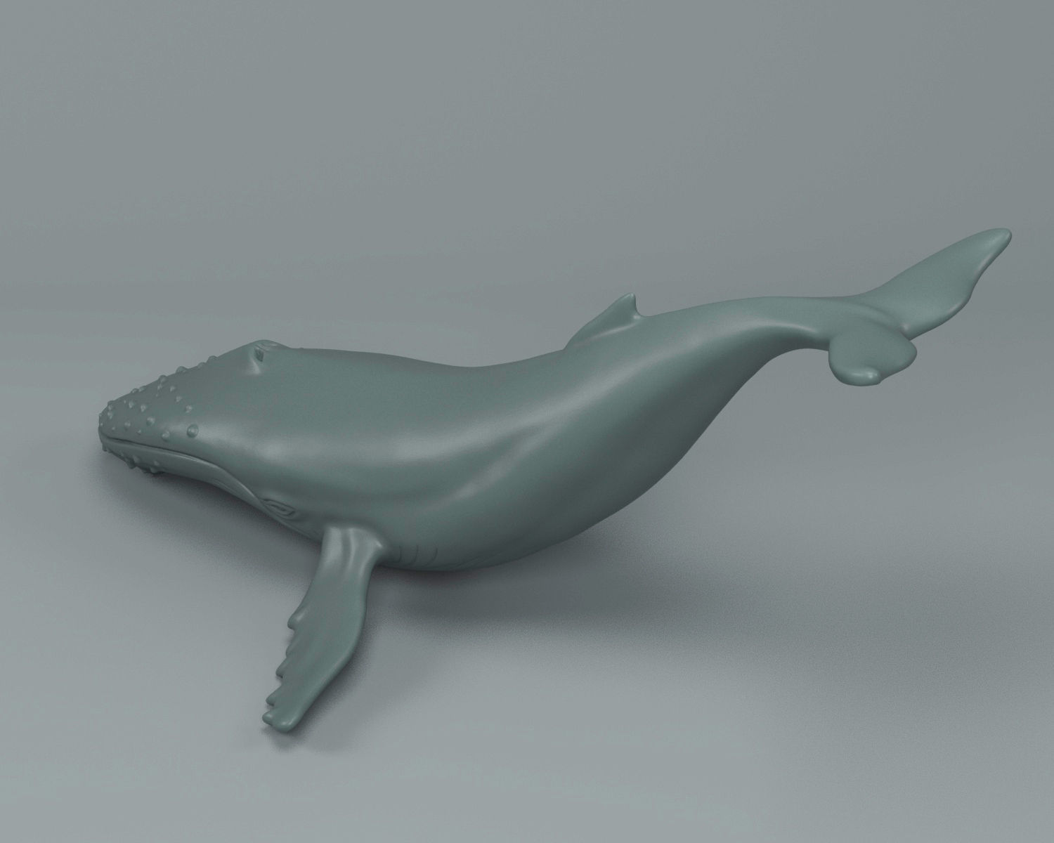 Humpback Whale 3D print model_1