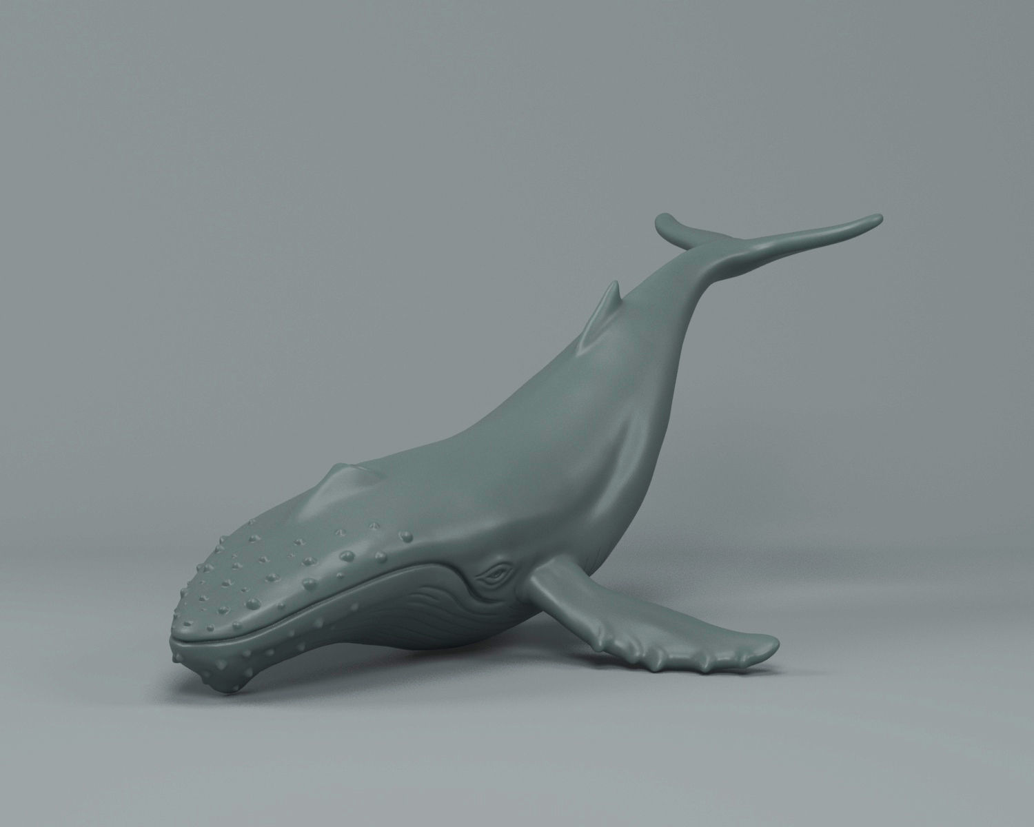 Humpback Whale 3D print model_2