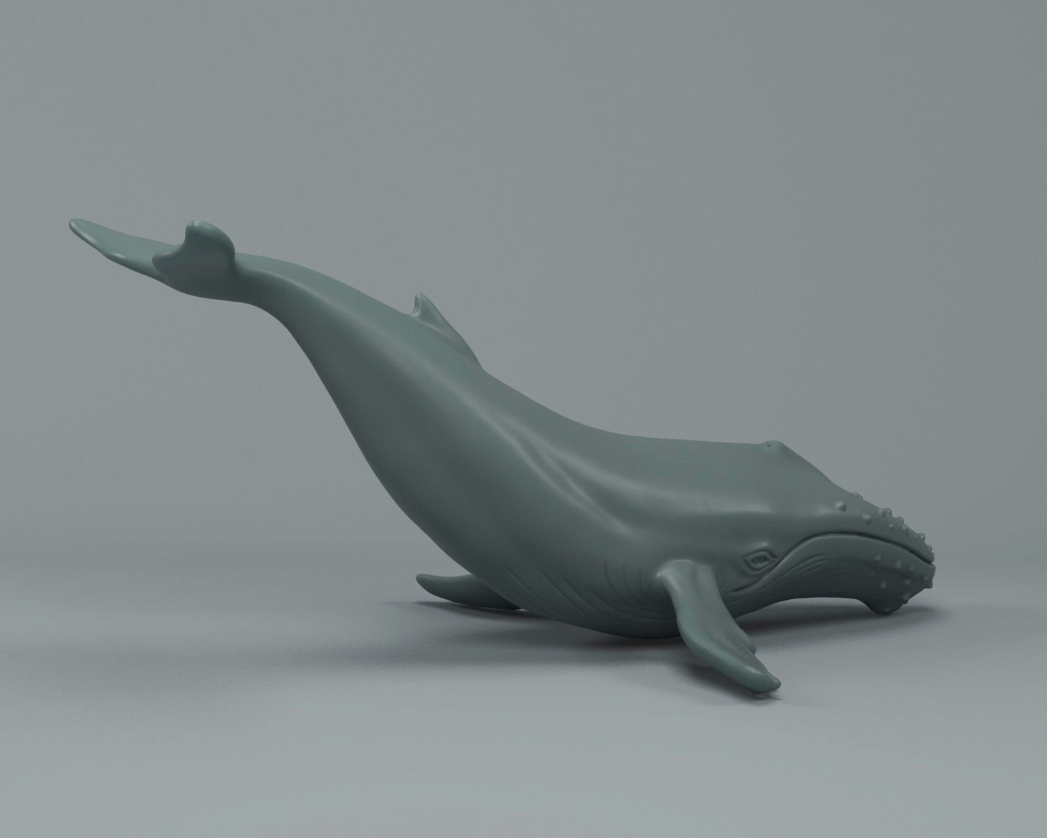 Humpback Whale 3D print model_5