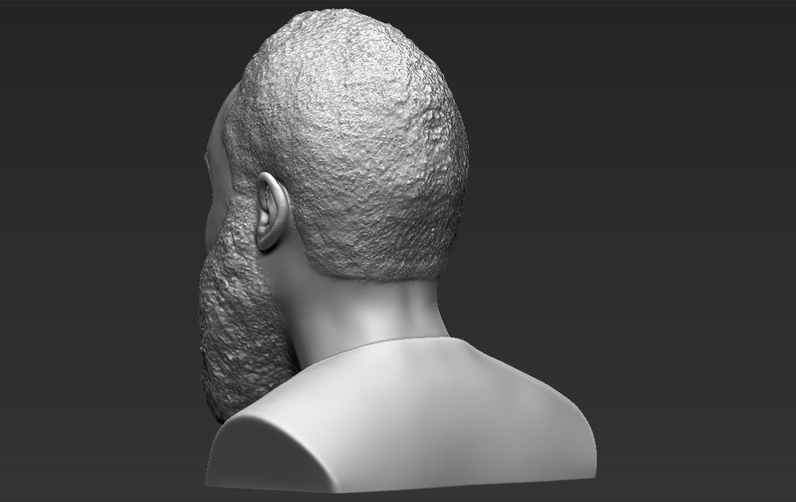James Harden bust 3D printing ready stl obj formats 3D print model_6