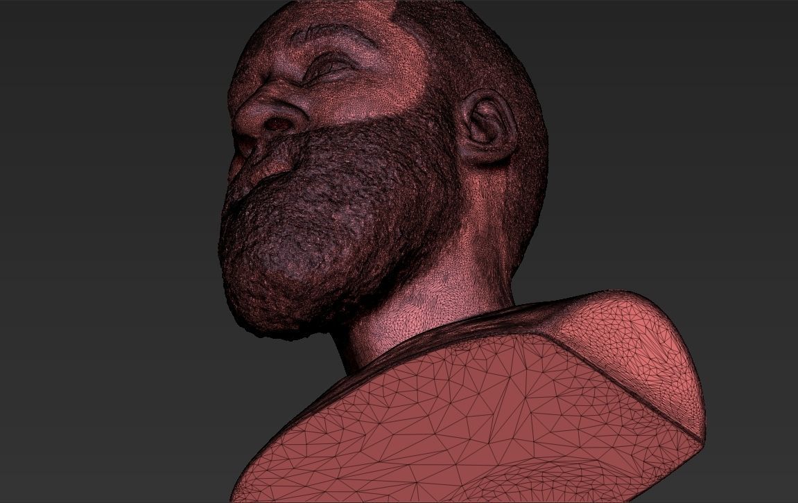 James Harden bust 3D printing ready stl obj formats 3D print model_29