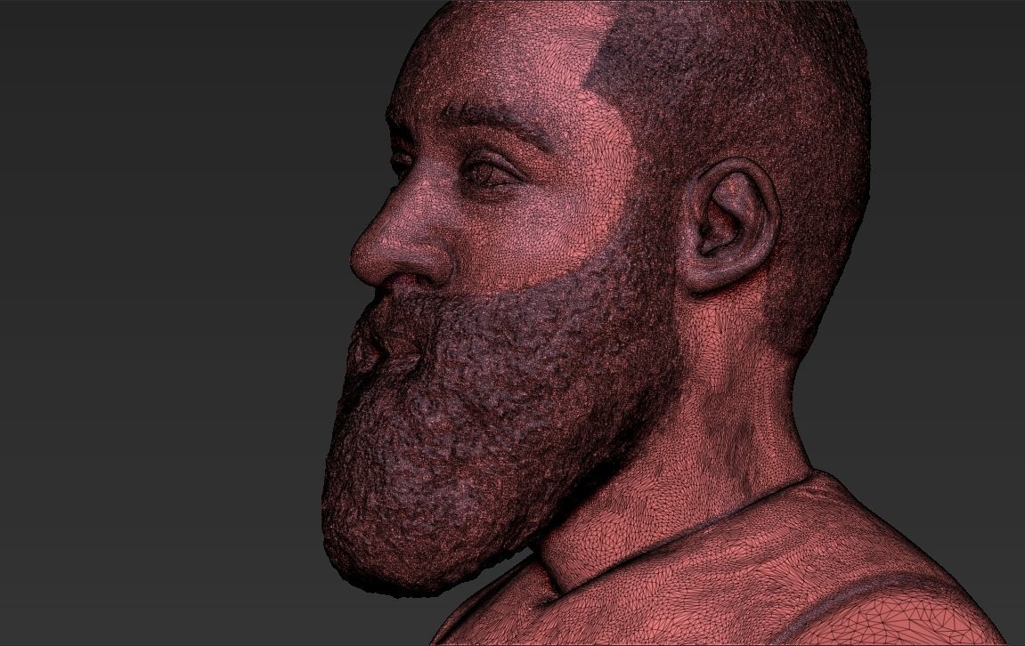 James Harden bust ready for full color 3D printing 3D print model_52