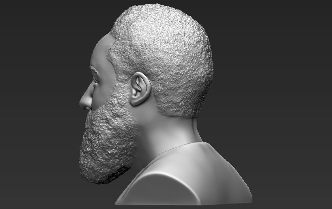 James Harden bust ready for full color 3D printing 3D print model_28
