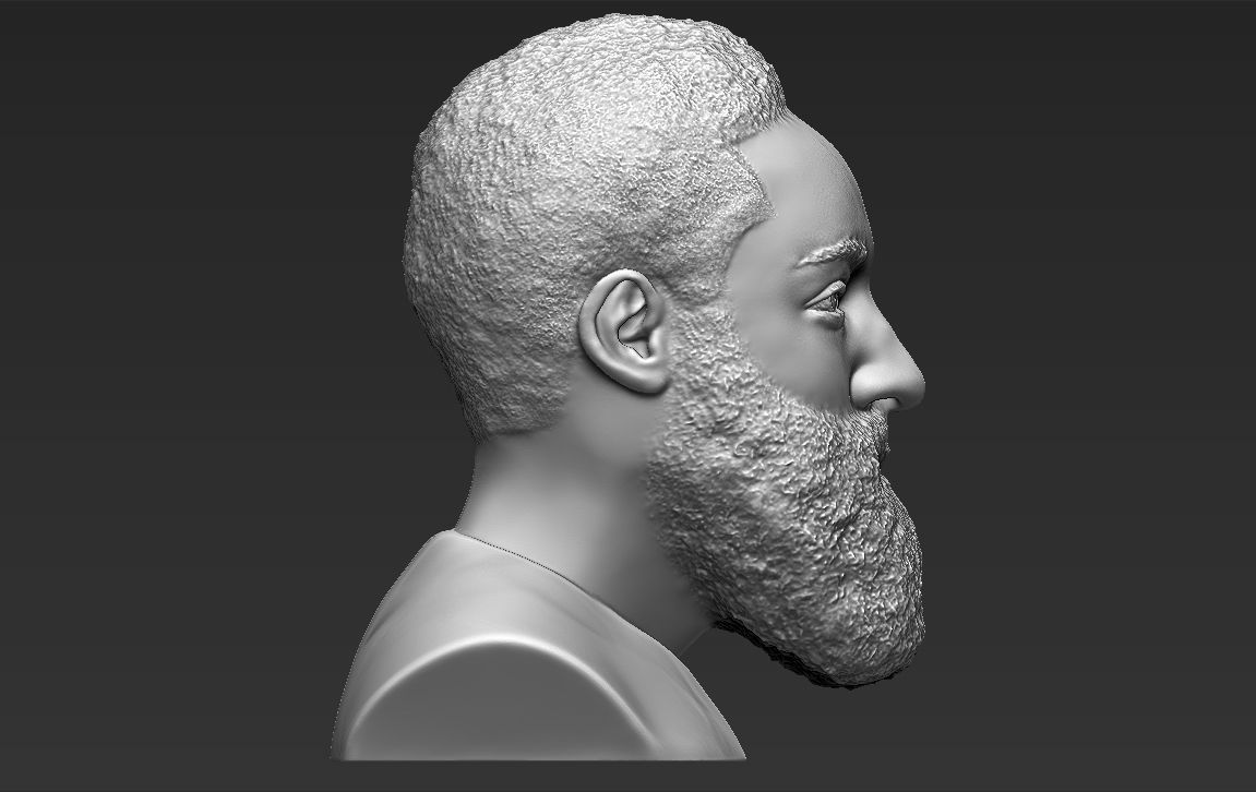 James Harden bust ready for full color 3D printing 3D print model_33