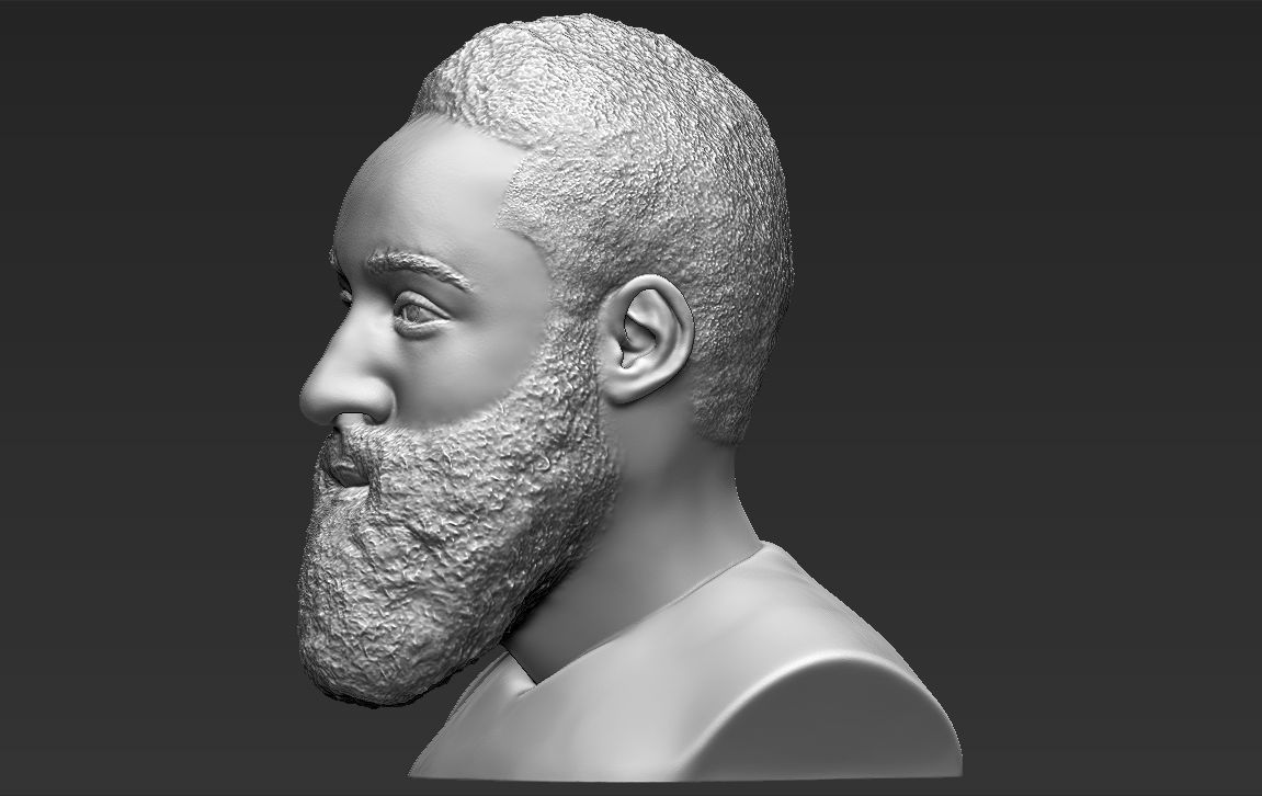 James Harden bust ready for full color 3D printing 3D print model_26