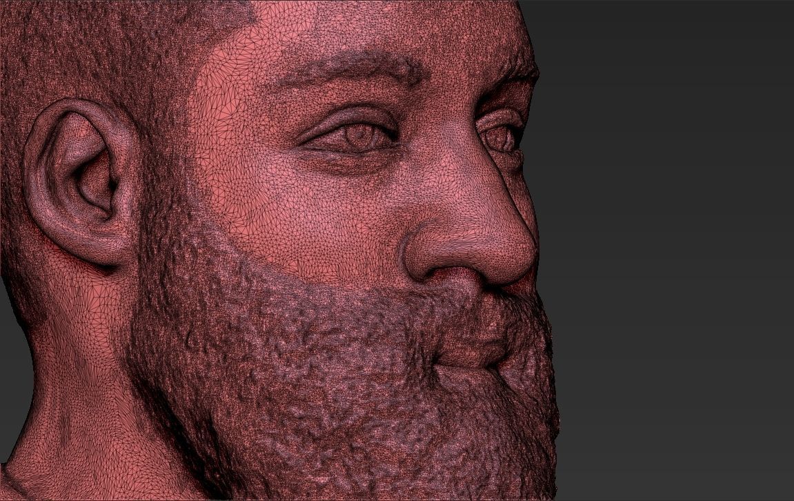 James Harden bust ready for full color 3D printing 3D print model_49