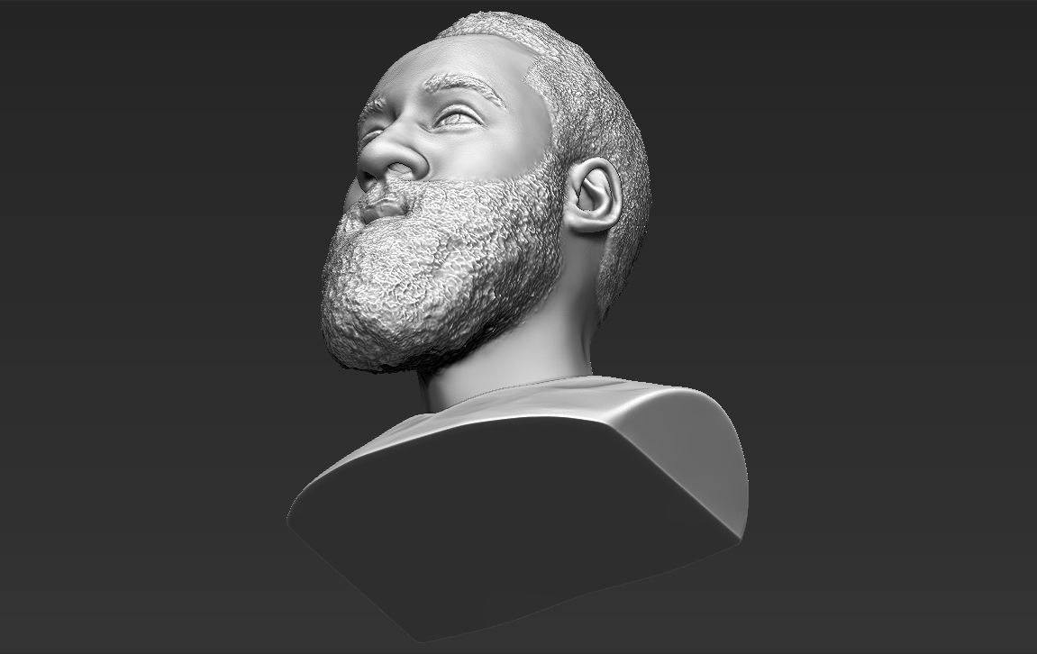 James Harden bust ready for full color 3D printing 3D print model_46
