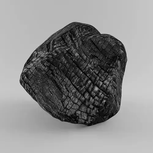 Fire Tree Coal 3D Model 2019 - New Cool Model Coal