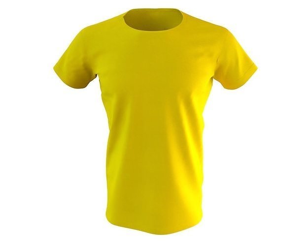 3 D Male T-Shirt 3D model